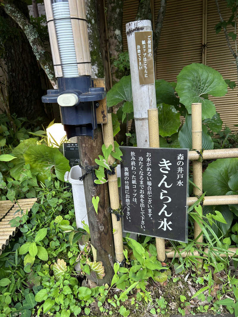 evergreenさんのモダン湯治 おんりーゆーのサ活写真