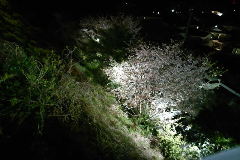 笑うメダカさんのゆりの温泉のサ活写真