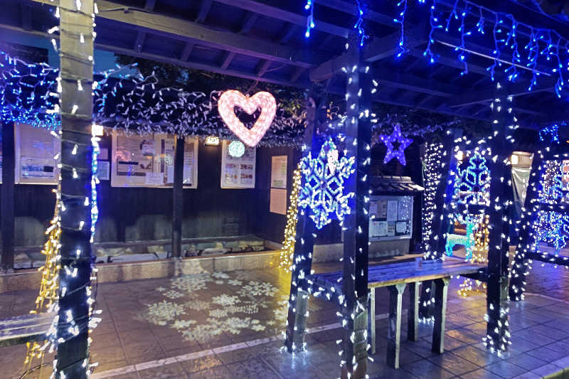 笑うメダカさんの天然温泉 ゆの華 サンスパおおむら店のサ活写真
