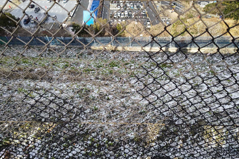 笑うメダカさんの稲佐山温泉ふくの湯のサ活写真