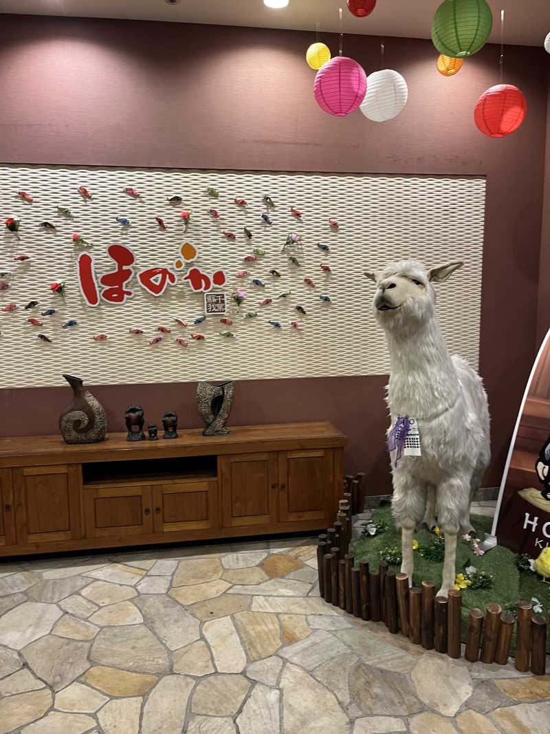 涼さんの湯の郷ほのか 蘇我店のサ活写真