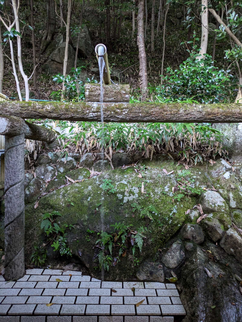 さしみさんの小瀬川温泉のサ活写真