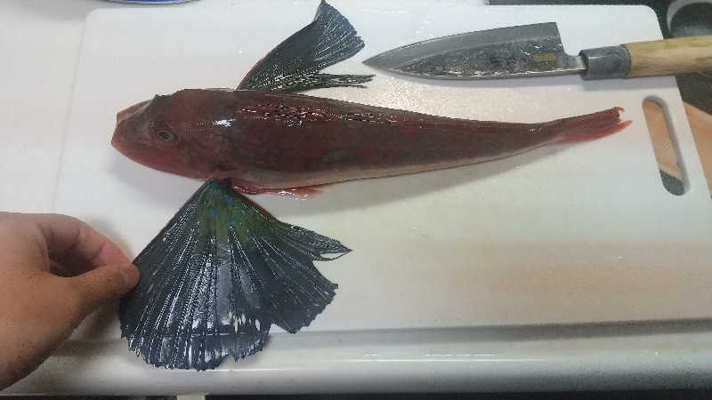 いっちーさんの極楽湯 多摩センター店のサ活写真