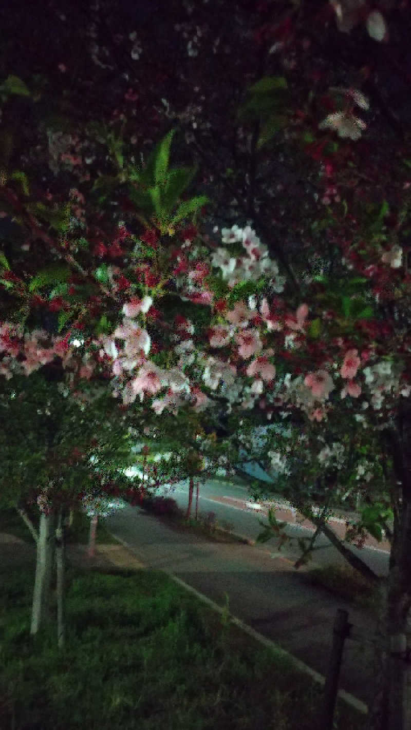いっちーさんの極楽湯 多摩センター店のサ活写真