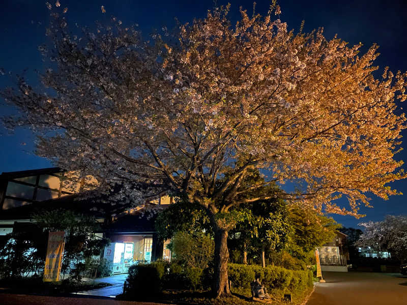 ニシサブローさんの天然温泉 真名井の湯 大井店のサ活写真