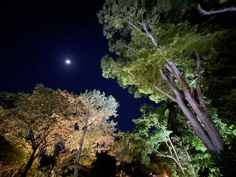 ニシサブローさんのよみうりランド眺望温泉 花景の湯のサ活写真