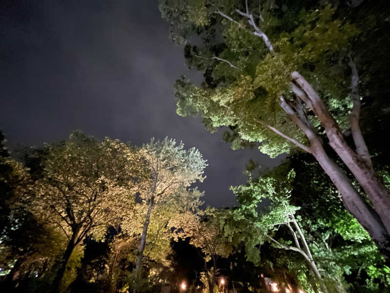 ニシサブローさんのよみうりランド眺望温泉 花景の湯のサ活写真