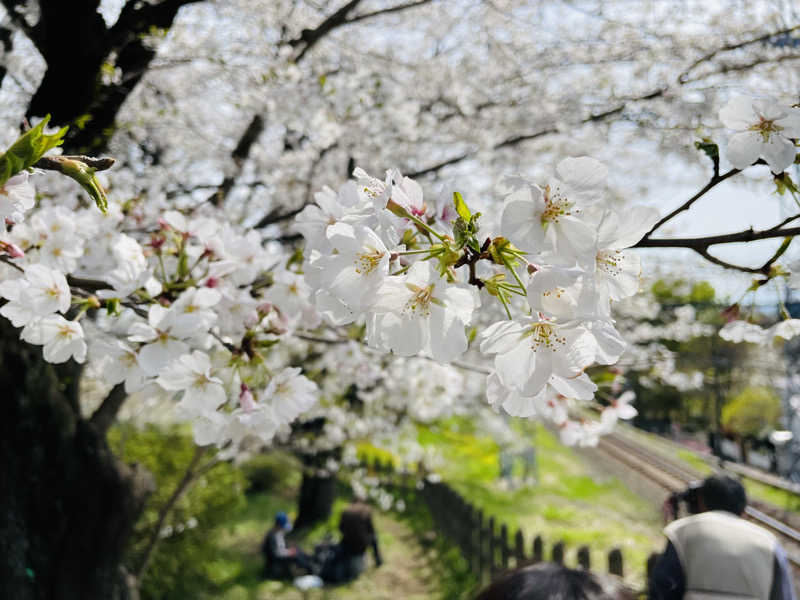 ニシサブローさんの天然温泉 花鳥風月のサ活写真