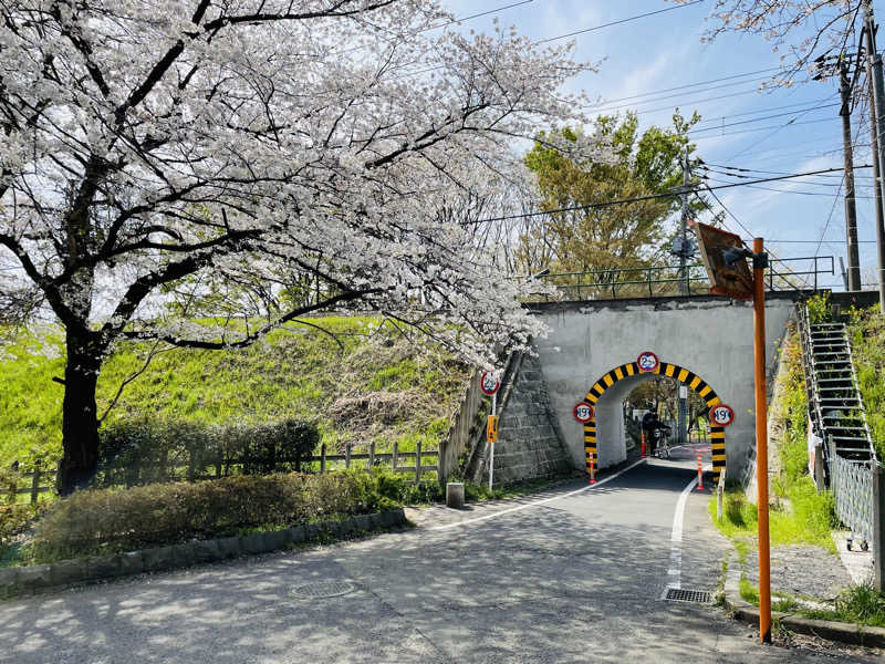 ニシサブローさんの天然温泉 花鳥風月のサ活写真