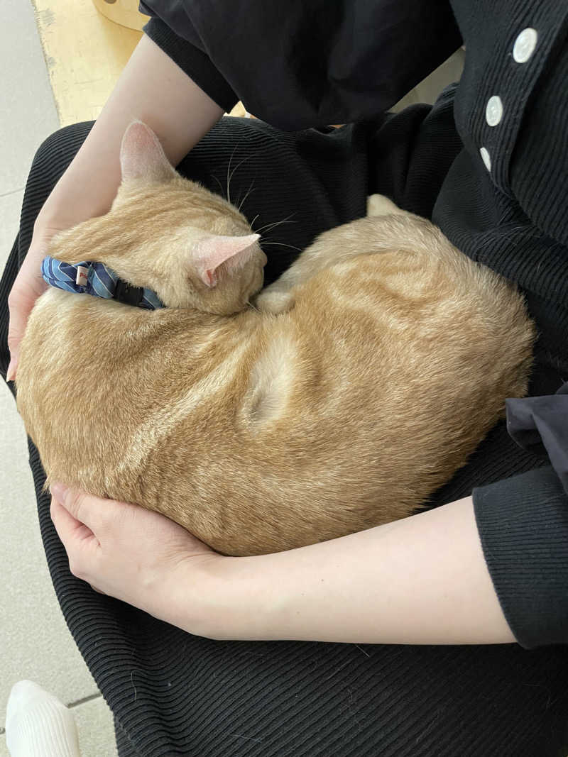 ニシサブローさんの毎日サウナ 越谷店のサ活写真