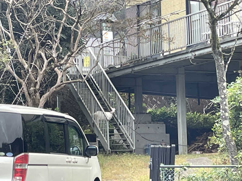 ニシサブローさんのさぷらすのサ活写真