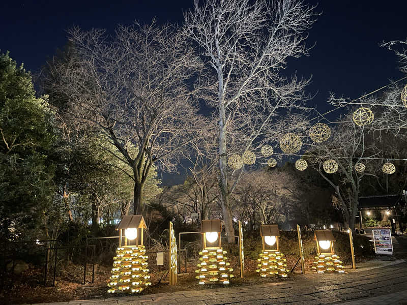 ニシサブローさんのよみうりランド眺望温泉 花景の湯のサ活写真