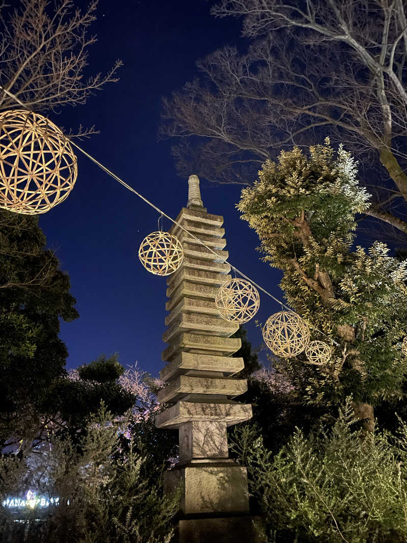 ニシサブローさんのよみうりランド眺望温泉 花景の湯のサ活写真