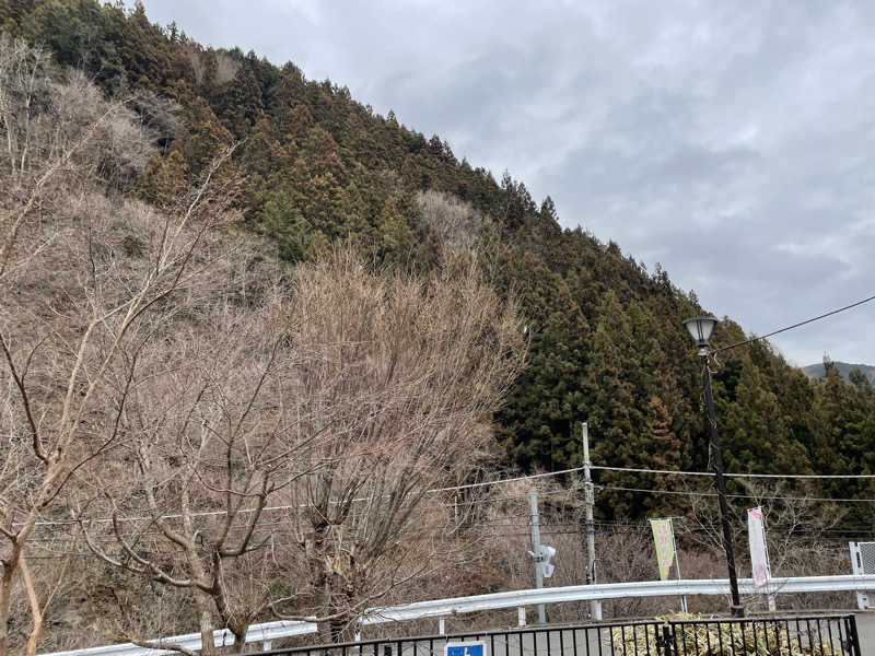 ニシサブローさんの檜原温泉センター 数馬の湯のサ活写真