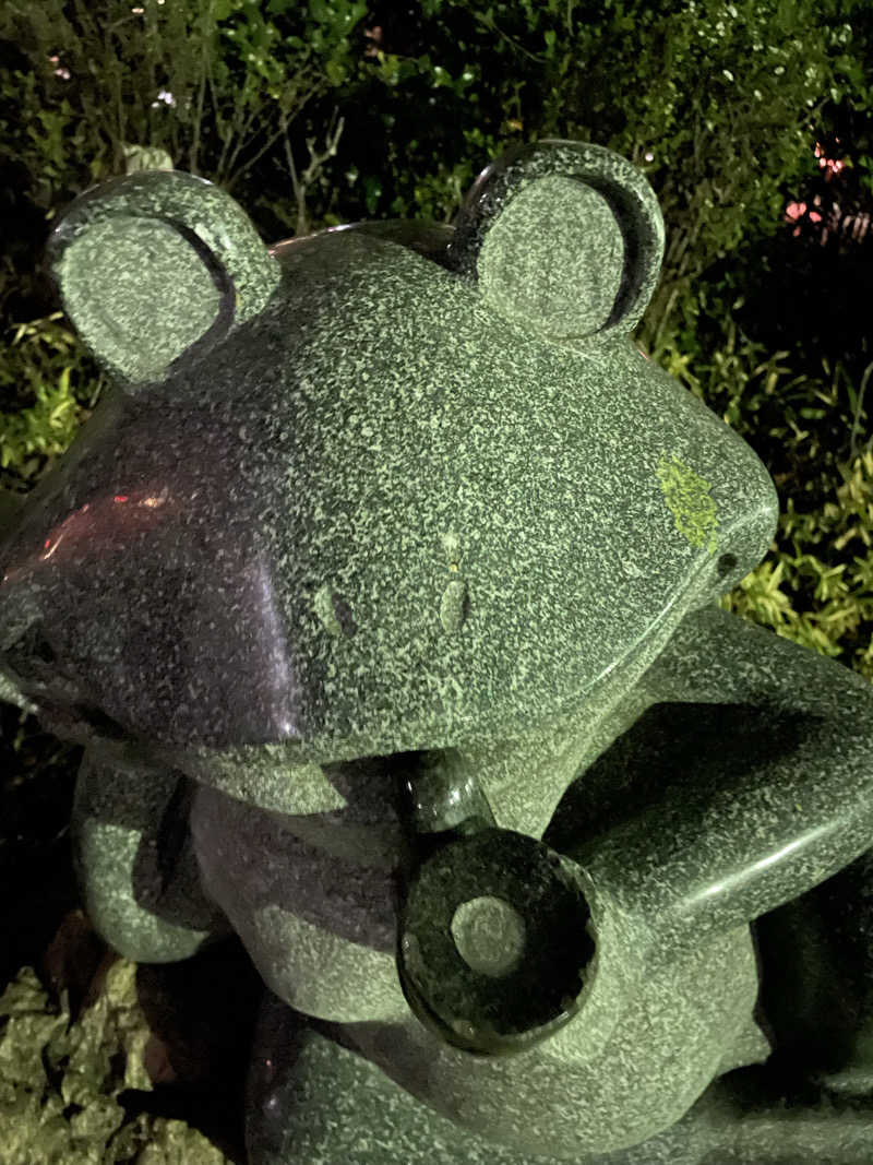 ニシサブローさんの天然温泉 真名井の湯 大井店のサ活写真