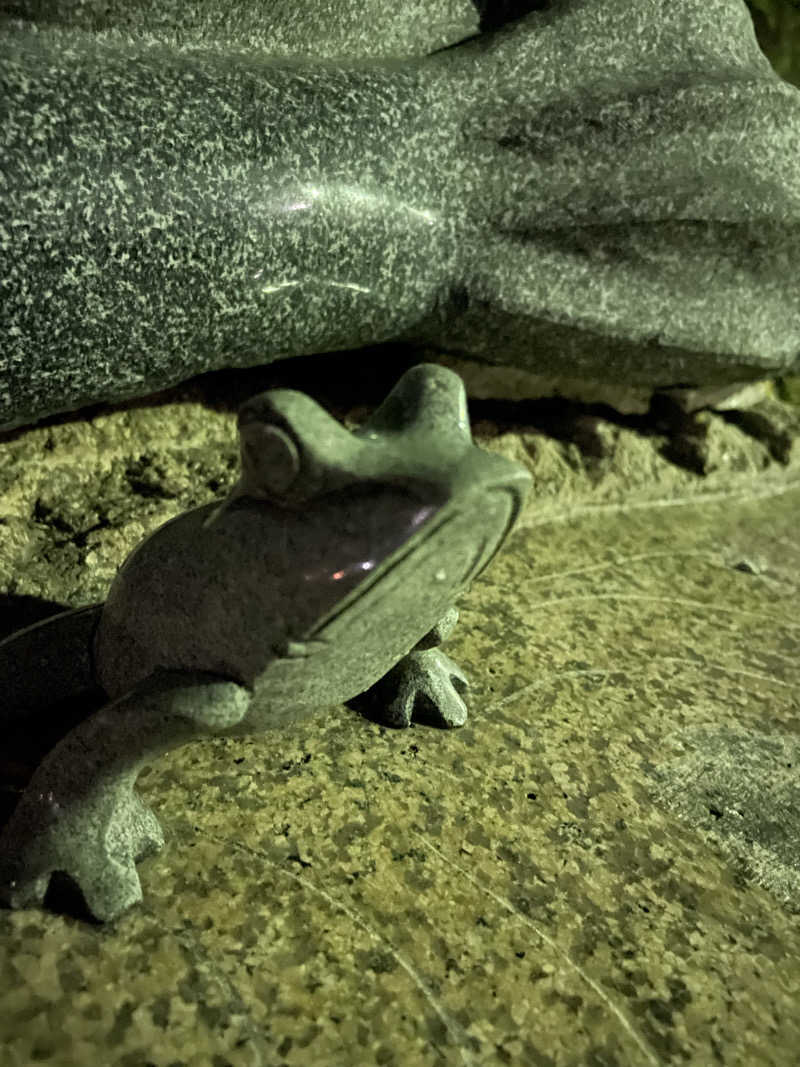ニシサブローさんの天然温泉 真名井の湯 大井店のサ活写真