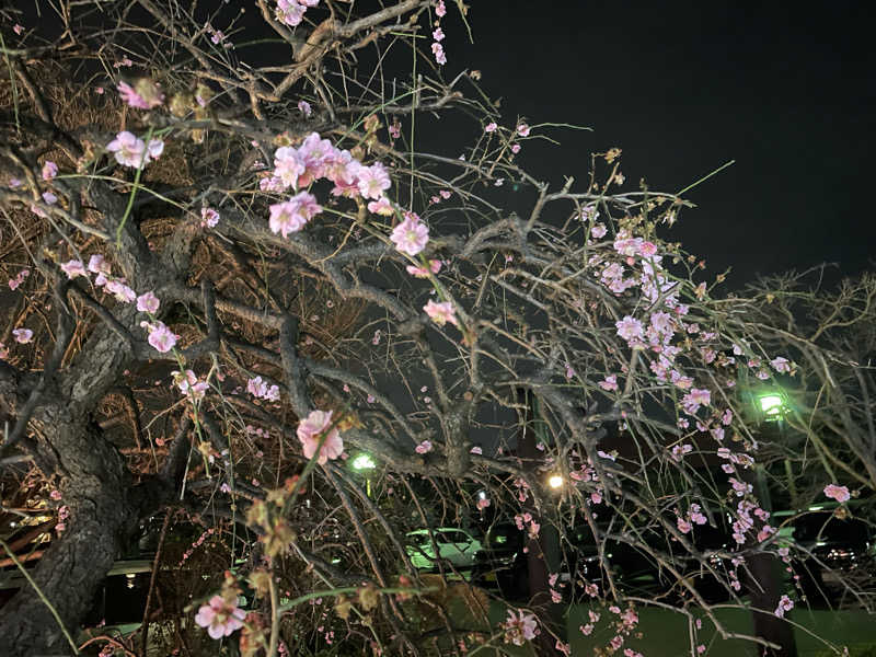 ニシサブローさんの天然温泉 真名井の湯 大井店のサ活写真
