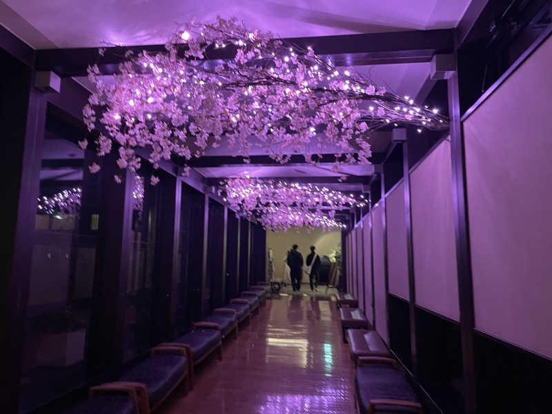 ニシサブローさんの宮前平源泉 湯けむりの庄のサ活写真