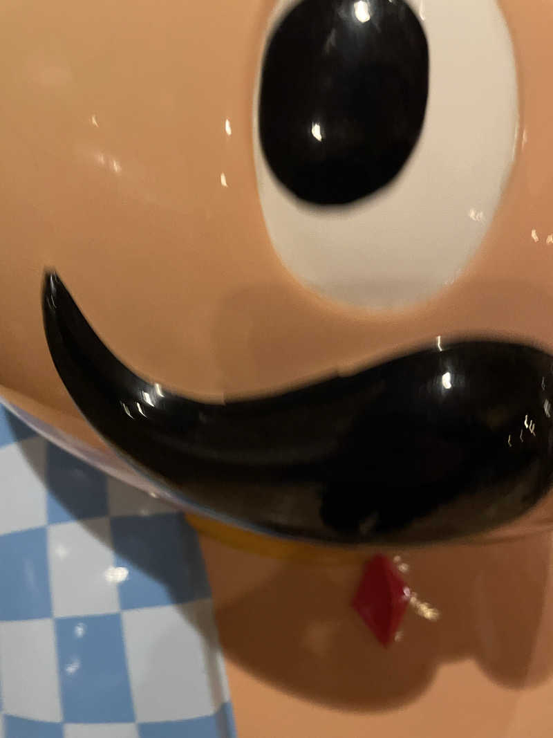 ニシサブローさんのおふろの王様 花小金井店のサ活写真