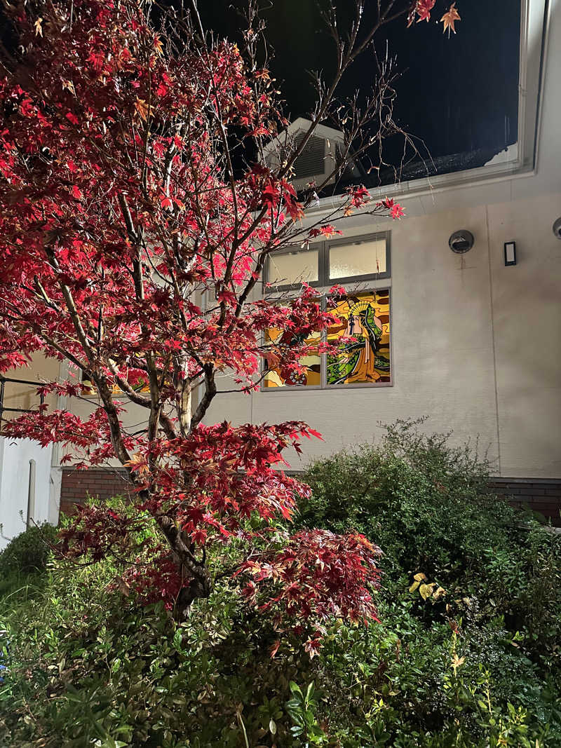 サッウーナさんのハウステンボス温泉のサ活写真