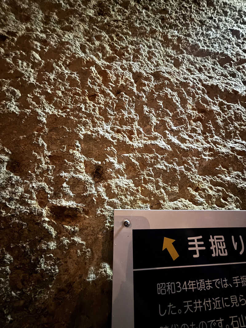 たーにゃ@旅するサウナ〜さんの大谷元気炉 六号基 |AZUMAYAのサ活写真