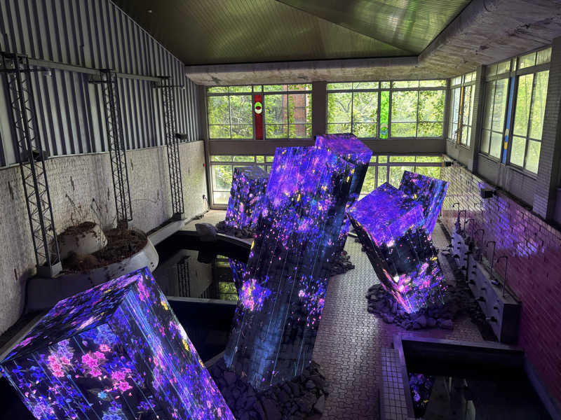 たーにゃ@旅するサウナ〜さんの御船山楽園ホテル  らかんの湯のサ活写真