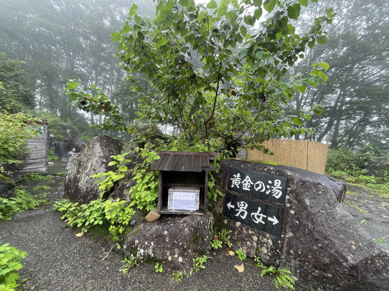 K.Akiyamaさんの天然温泉 多宝の湯 ドーミーイン新潟のサ活写真