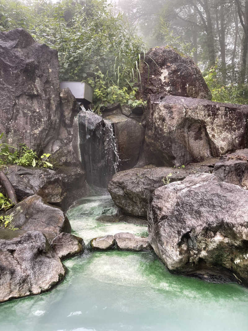 K.Akiyamaさんの天然温泉 多宝の湯 ドーミーイン新潟のサ活写真