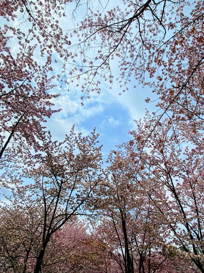 あささんのキトウシの森きとろんのサ活写真
