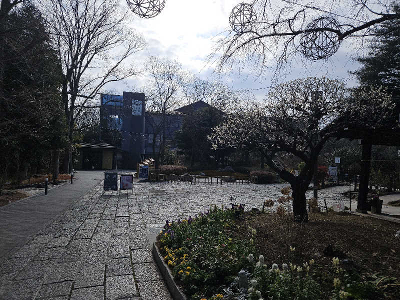 ゆうたぱぱさんのよみうりランド眺望温泉 花景の湯のサ活写真