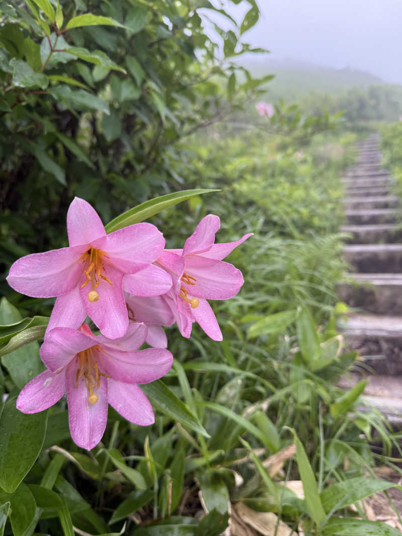 ☕️トンアク⛺️Yairo Coffee Rostarさんの寿和温泉のサ活写真