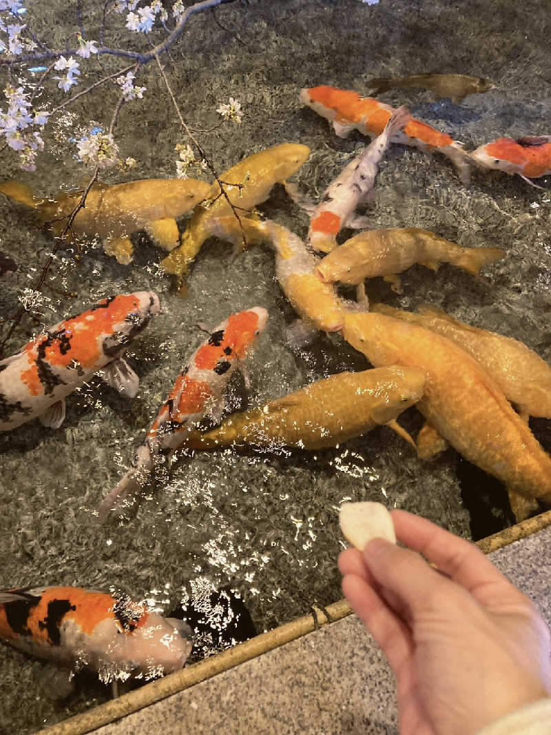 ちよまるさんの銘石の宿 かげつのサ活写真