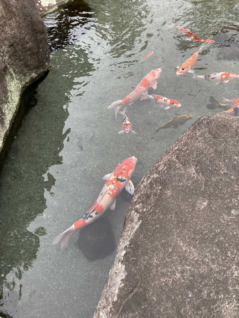 ちよまるさんの銘石の宿 かげつのサ活写真