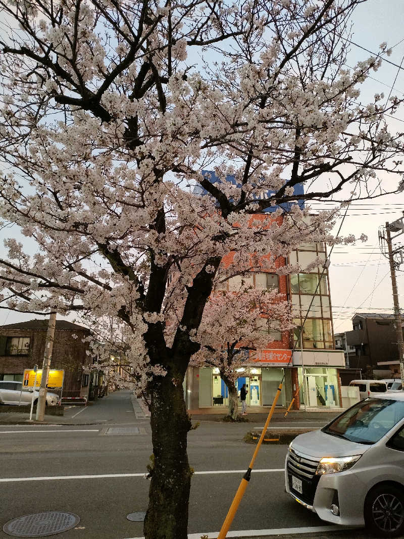 ちよまるさんのやすらぎの湯 万葉(万葉湯)のサ活写真