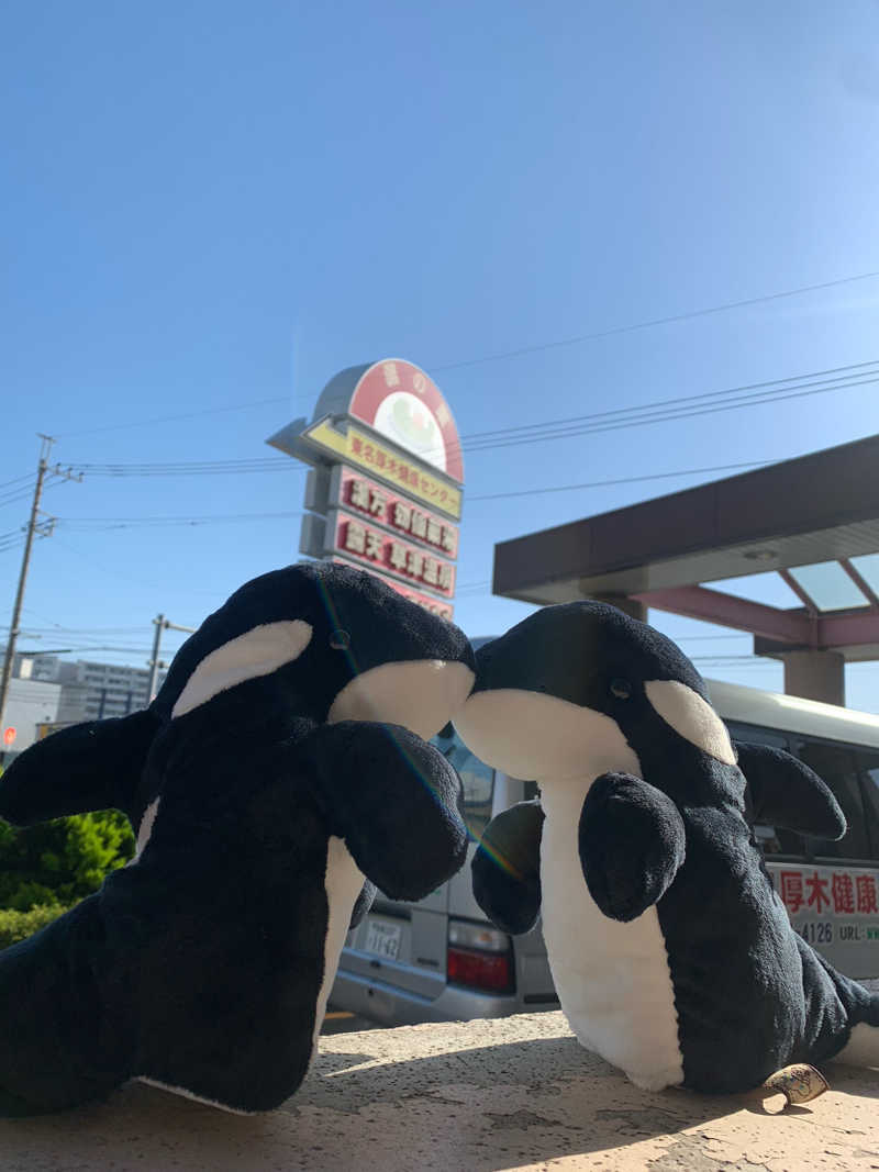 ひねくれさんの湯乃泉 東名厚木健康センターのサ活写真