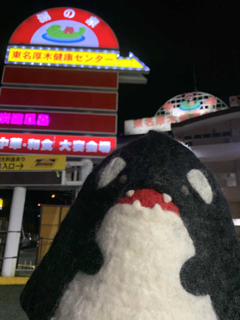 ひねくれさんの湯乃泉 東名厚木健康センターのサ活写真