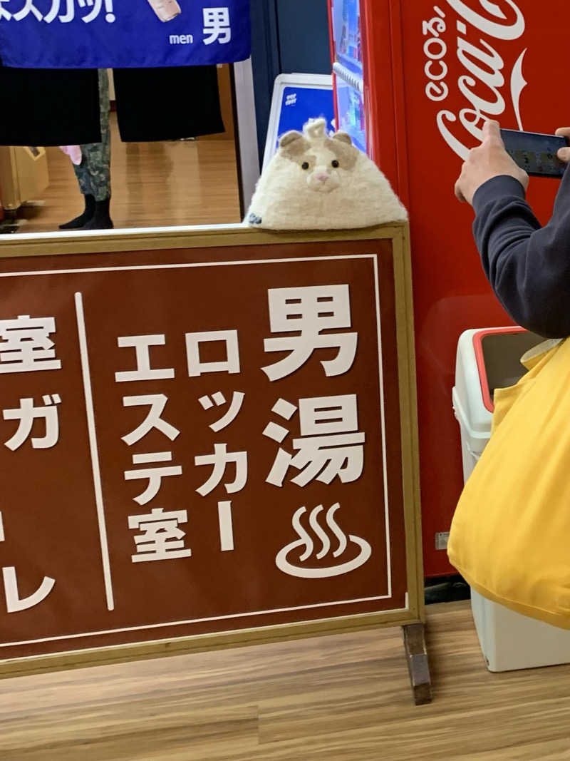 ひねくれさんの湯乃泉 東名厚木健康センターのサ活写真
