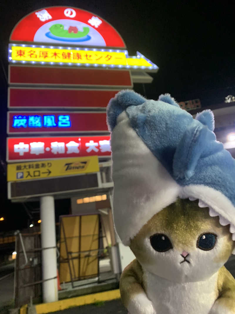 ひねくれさんの湯乃泉 東名厚木健康センターのサ活写真