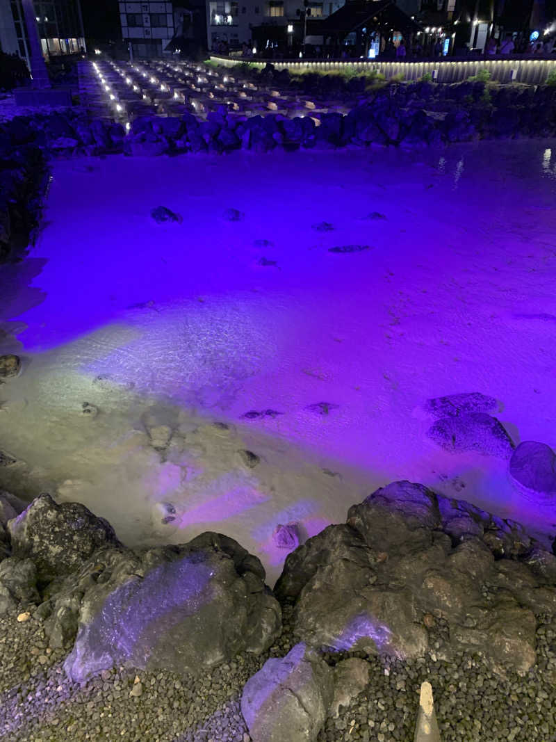 ひねくれさんの亀の井ホテル草津リゾートのサ活写真