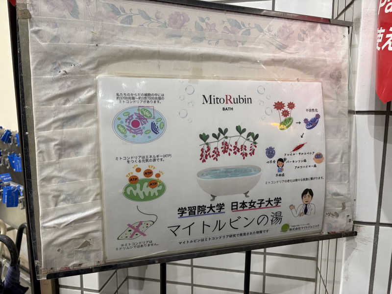 しろさんのマジック温泉 昭和浴場のサ活写真