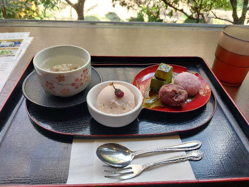 りみさんの前野原温泉 さやの湯処のサ活写真
