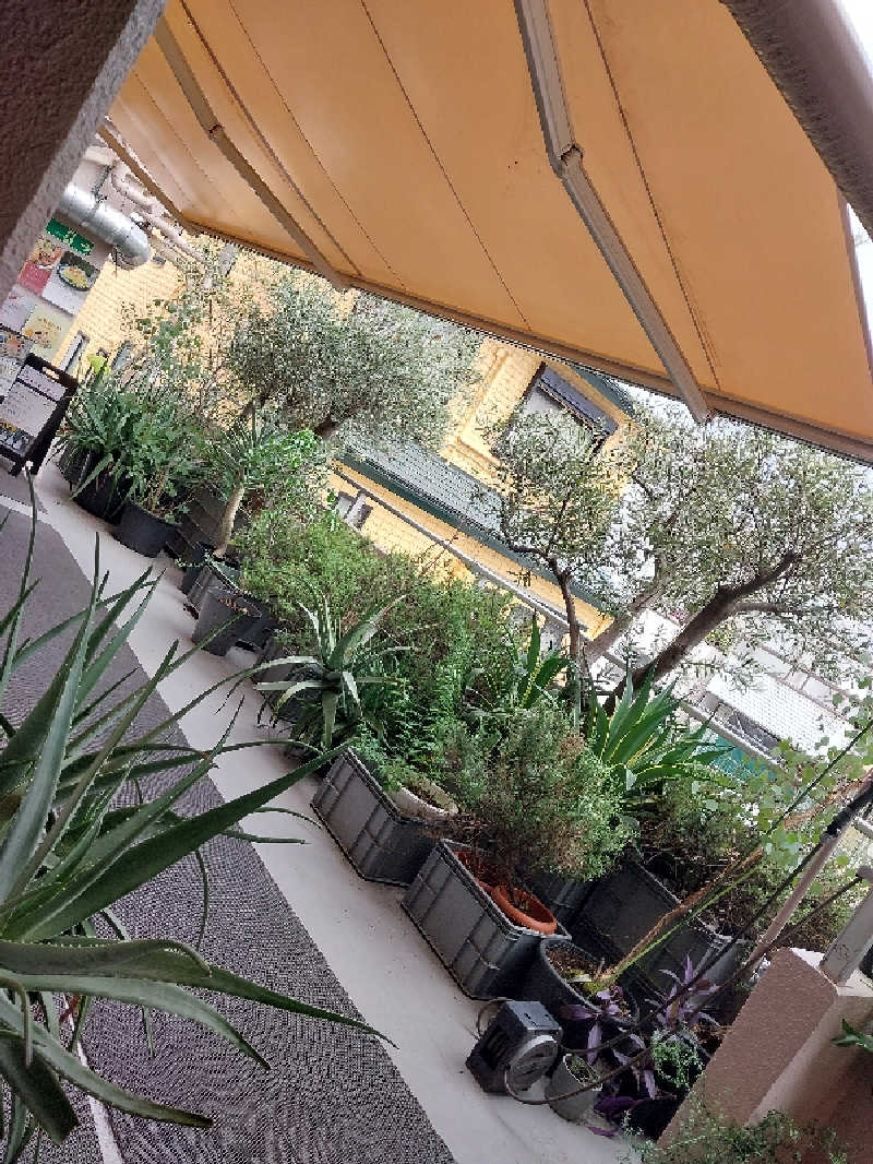 りみさんの黄金湯のサ活写真