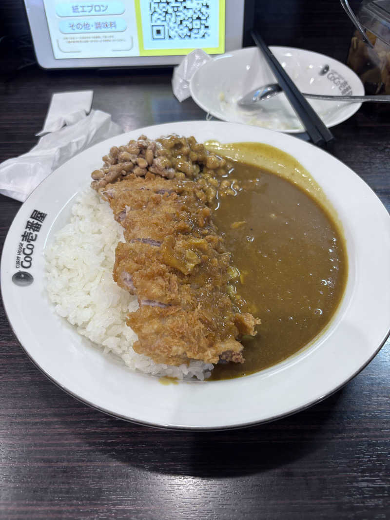 のりのりさんの湯野温泉 芳山園 芳和の湯のサ活写真