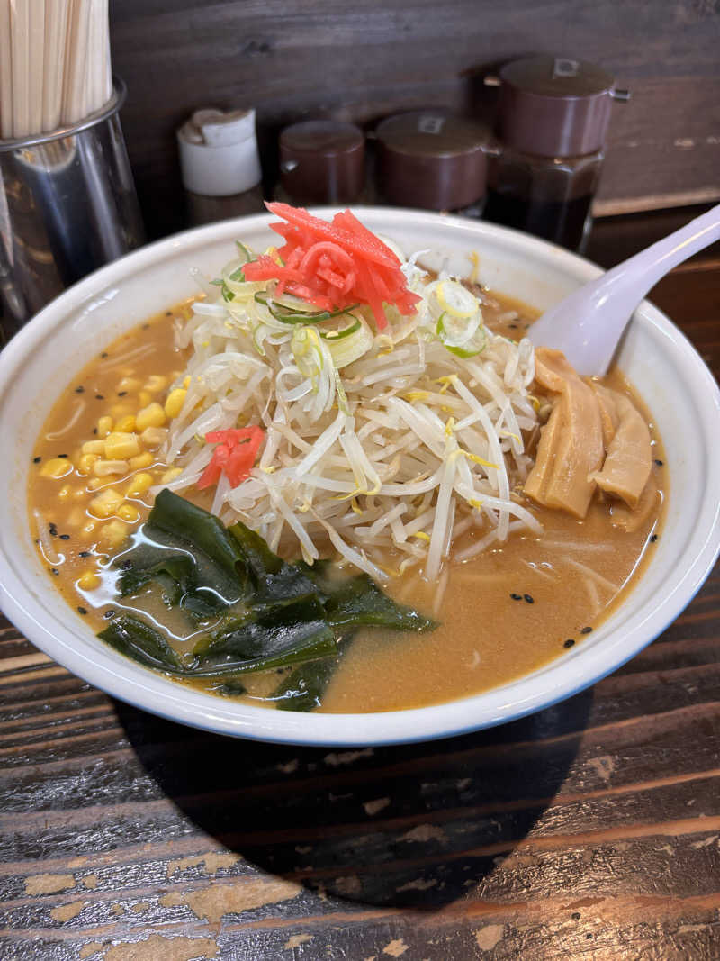 のりのりさんの三島温泉健康交流施設 ゆーぱーく光のサ活写真