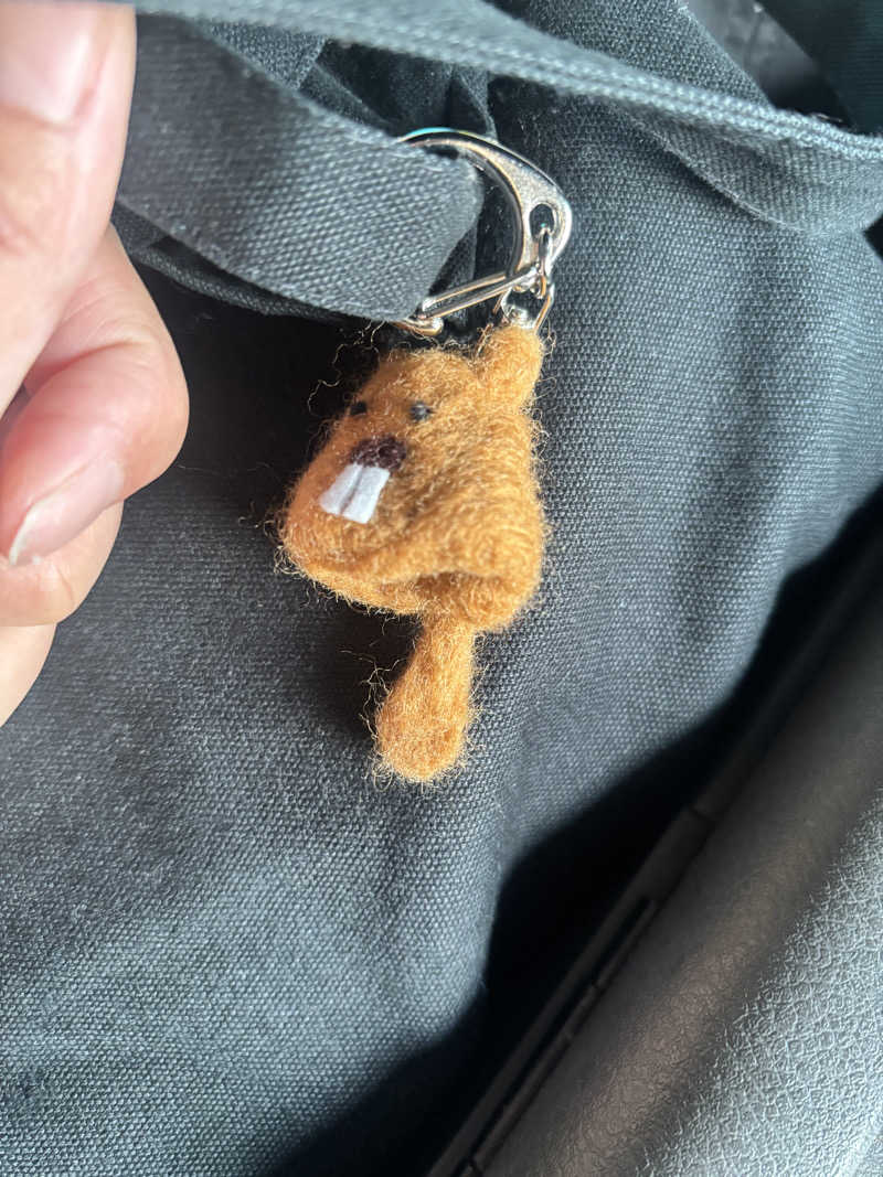 むいさんのなにわ健康ランド 湯〜トピアのサ活写真