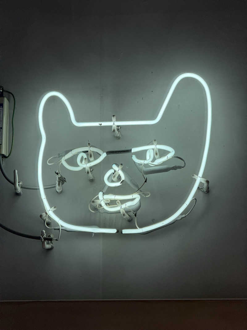 サJILLさんのHiki stargazing saunaのサ活写真