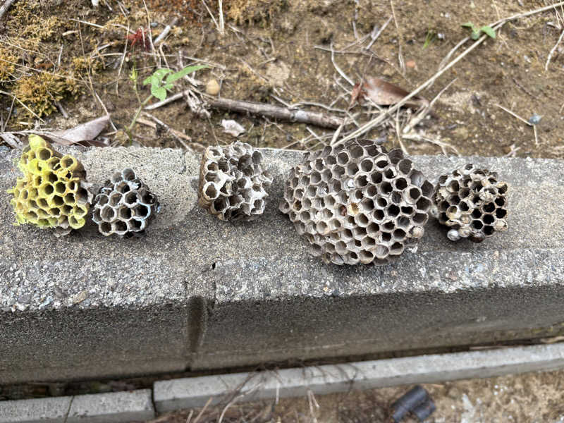 ヨシさんのピュア涌泉寺のサ活写真