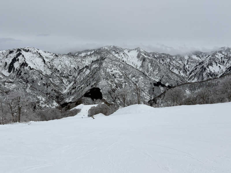 ヨシさんのピュア涌泉寺のサ活写真