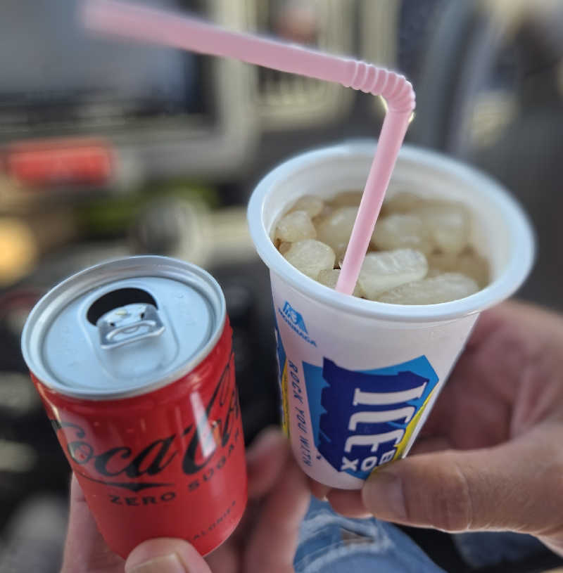 てっちゃんさんのスーパー銭湯 佐野やすらぎの湯のサ活写真