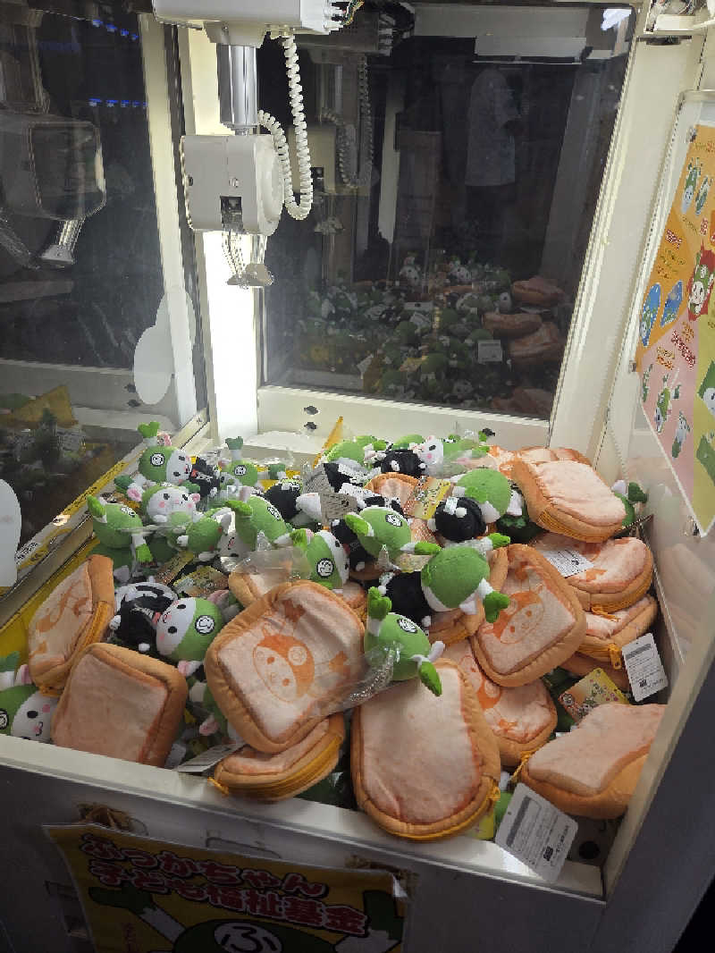 てっちゃんさんの国済寺天然温泉 美肌の湯のサ活写真